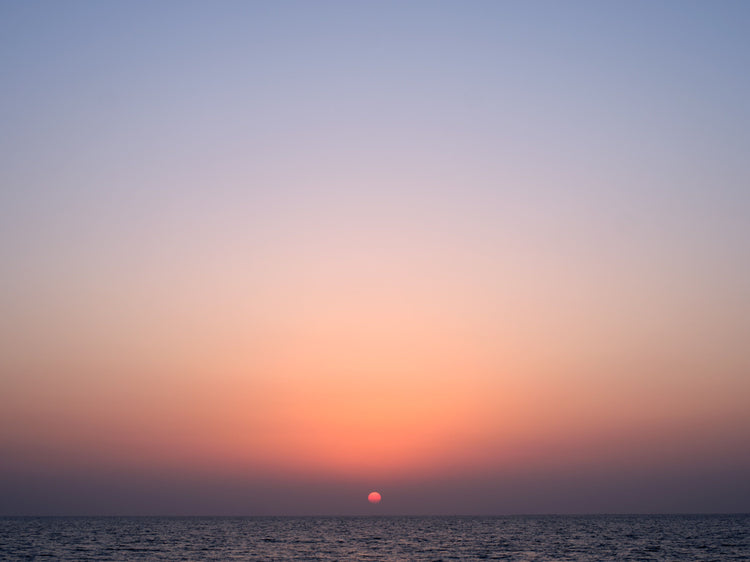 Menopause and Hair Loss the Basics